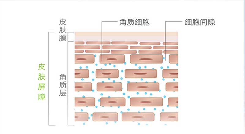 【夏季护肤第三课】超实用补水保养法！在夏日跟粗糙暗沉说拜拜-10